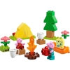 LEGO DUPLO 10452 Wyprawa na biwak-10142046