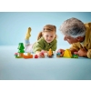 LEGO DUPLO 10452 Wyprawa na biwak-10142047