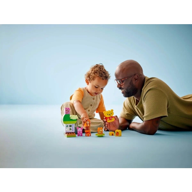 LEGO DUPLO 10457 Przyjęcie urodzinowe Kubusia Puchatka-10142066