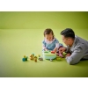 LEGO DUPLO 10441 SHAPE SORTER: PUPPY HOUSE-10806298