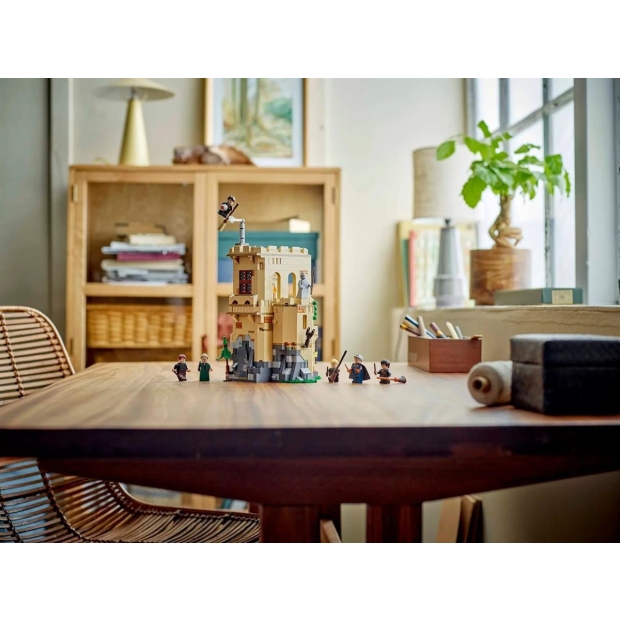 LEGO Harry Potter 76447 Zamek Hogwart lekcja latania na miotle-10807078
