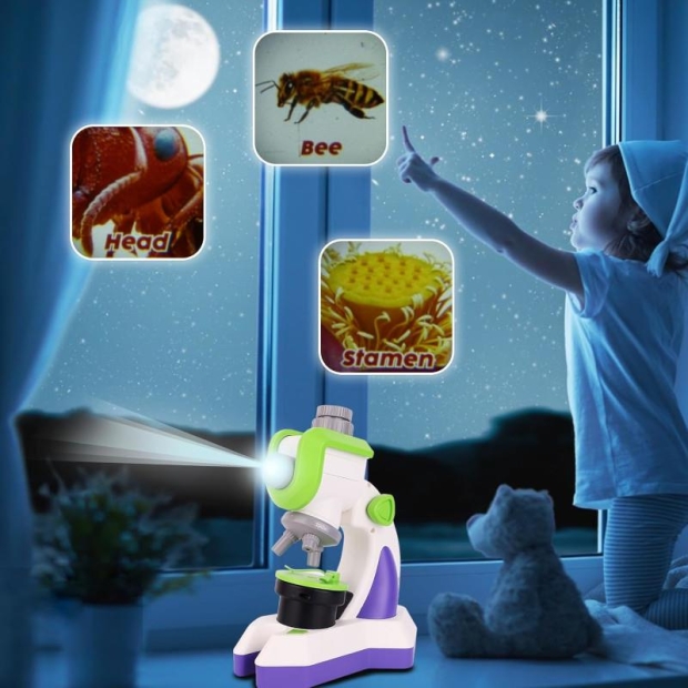 Mikroskop 2w1 fioletowy + projektor-11393632