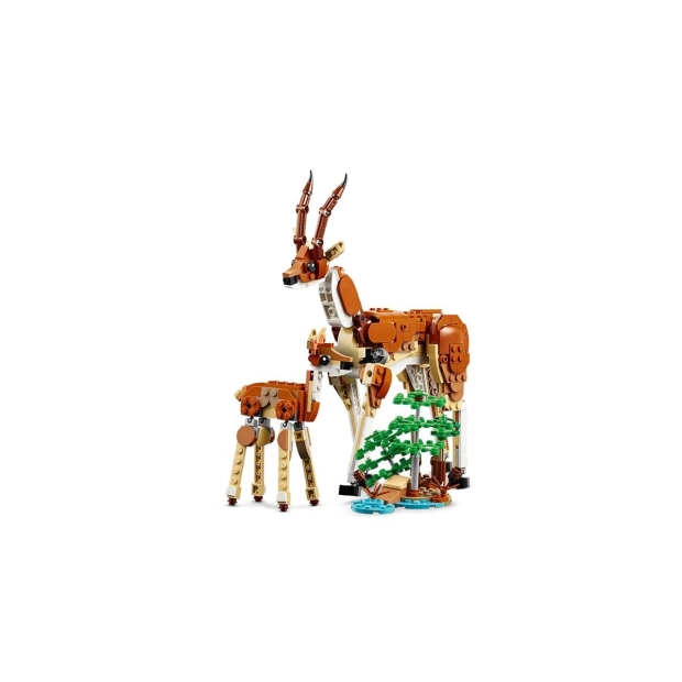 LEGO Creator 31150 Dzikie zwierzęta z safari-8353709