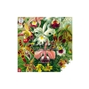 Puzzle Good Loot 1000 Imagination Ernst Haeckel Orchidea / Orchid