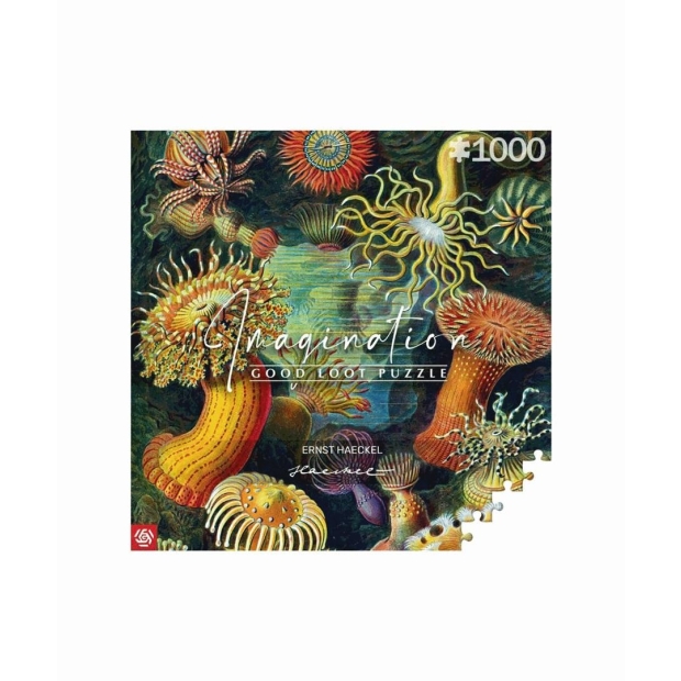 Puzzle Good Loot 1000 Imagination Ernst Haeckel Stworzenia Morskie-9547695