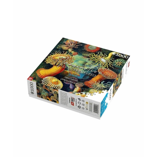 Puzzle Good Loot 1000 Imagination Ernst Haeckel Stworzenia Morskie-9547695