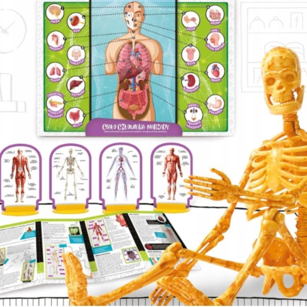 Mały Geniusz - Poznaj ciało człowieka-9613750
