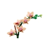 LEGO ICONS 10343 Botanicals - Mała orchidea-9756783