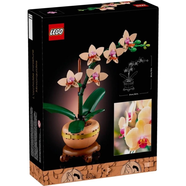 LEGO ICONS 10343 Botanicals - Mała orchidea-9756780