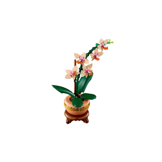LEGO ICONS 10343 Botanicals - Mała orchidea-9756782