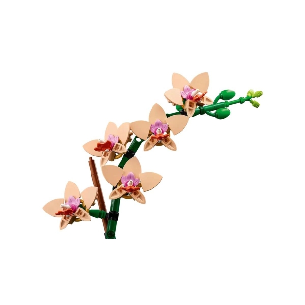 LEGO ICONS 10343 Botanicals - Mała orchidea-9756783