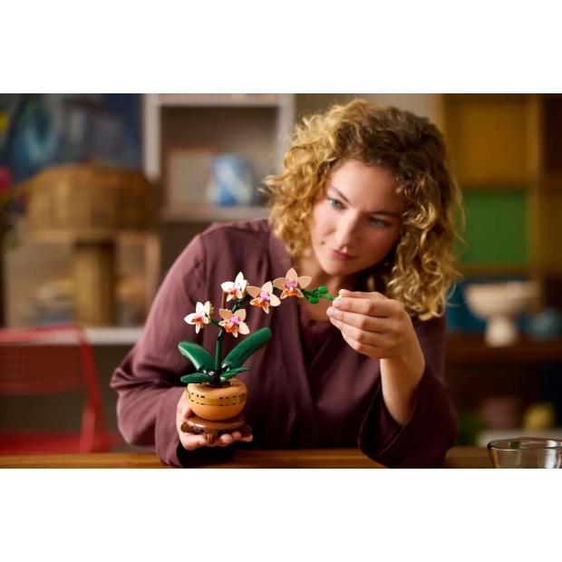 LEGO ICONS 10343 Botanicals - Mała orchidea-9756784