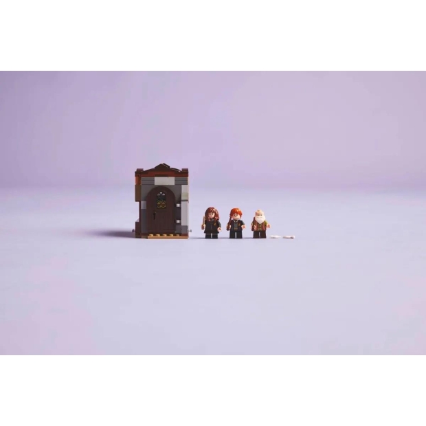 LEGO HARRY POTTER 76442 Zamek Hogwart: Zajęcia z zaklęć i uroków-9756838