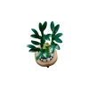 LEGO ICONS 10344 Botanicals - Dracena sandera-9785075