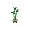 LEGO ICONS 10344 Botanicals - Dracena sandera-9785076