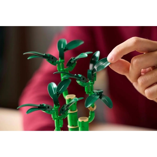 LEGO ICONS 10344 Botanicals - Dracena sandera-9785078