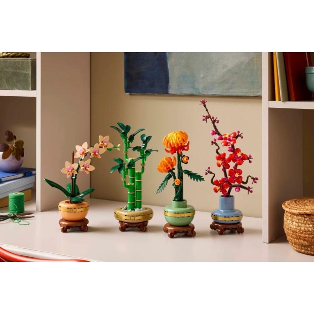 LEGO ICONS 10344 Botanicals - Dracena sandera-9785080